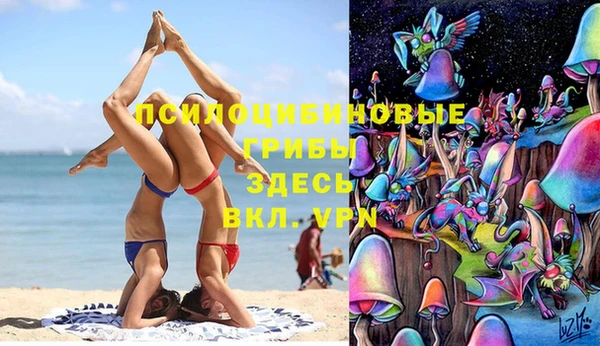 ешки Алзамай